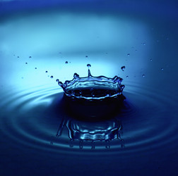 Similar image 494419