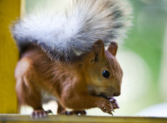 Similar image 494456