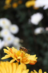 Similar image 494475