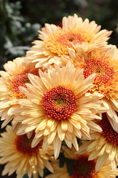 Similar image 494477