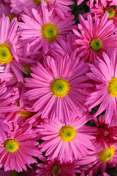 Similar image 494479