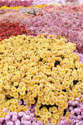 Similar image 494487