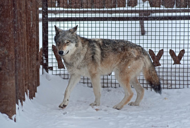 Similar image 494555