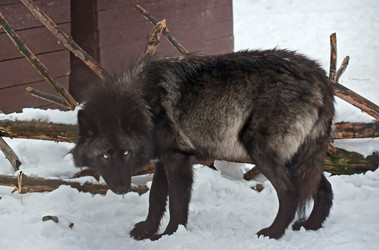 Similar image 494560