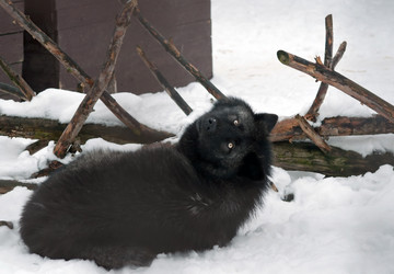 Similar image 494571