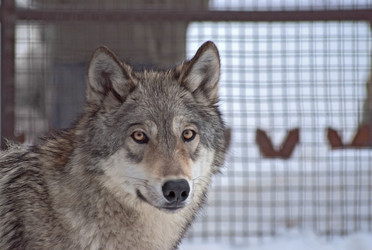 Similar image 494590