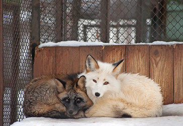 Similar image 494598