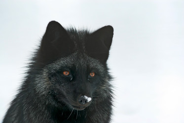 Similar image 494599