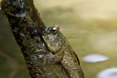 Similar image 494602