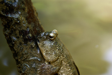 Similar image 494606