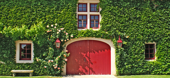 Similar image 494625