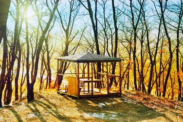 Similar image 494645