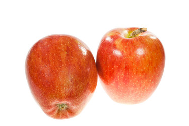 Similar image 494689