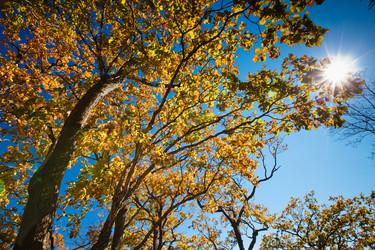 Similar image 494744