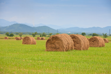 Similar image 494756