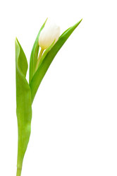 Similar image 494757