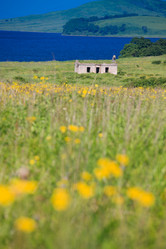 Similar image 494758