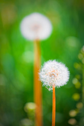 Similar image 494760