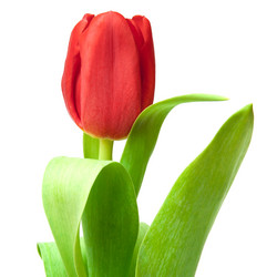 Similar image 494763