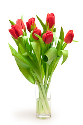 Similar image 494764