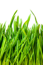 Similar image 494766