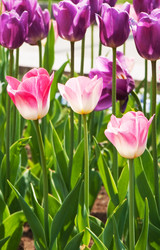 Similar image 494768