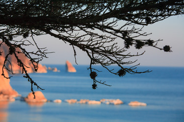 Similar image 494770