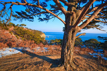 Similar image 494772