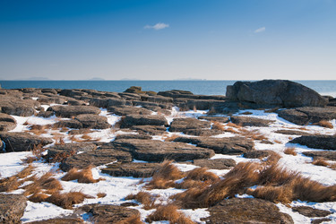 Similar image 494775