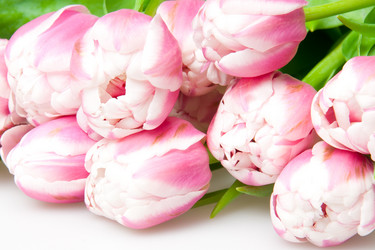 Similar image 494801