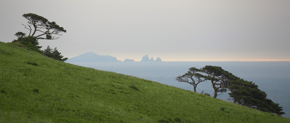 Similar image 494827