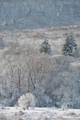 Similar image 494829