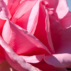 Similar image 494831