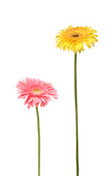 Similar image 494832