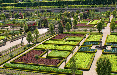 Similar image 494859