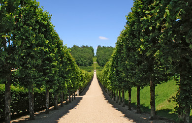 Similar image 494872