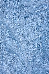 Similar image 494912