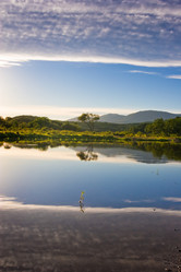 Similar image 494949