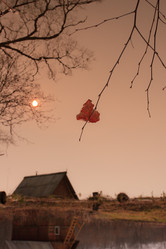 Similar image 494963