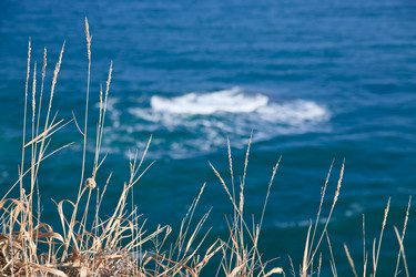 Similar image 494967