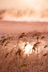 Similar image 494970