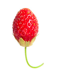 Similar image 494974