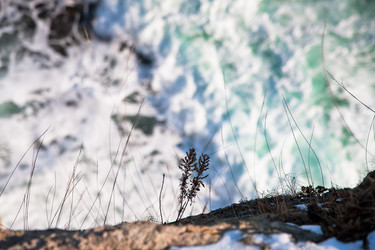 Similar image 494975