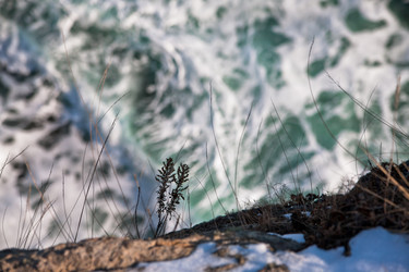 Similar image 494977