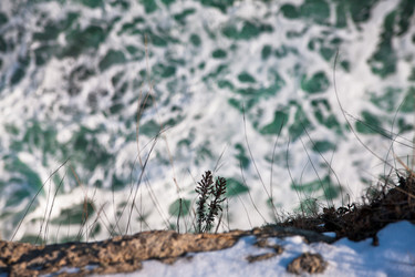 Similar image 494978