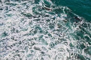 Similar image 494983