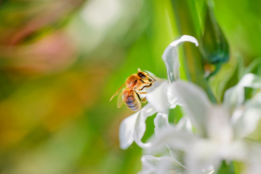 Similar image 494988