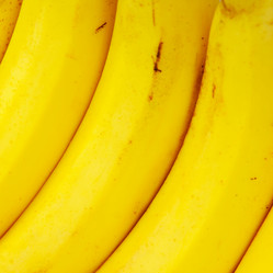 Similar image 495011