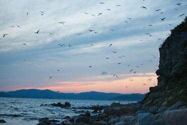 Similar image 495100