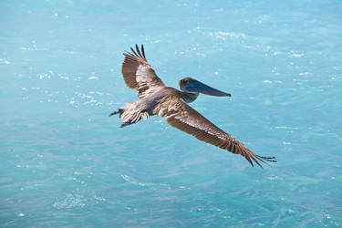 Similar image 495163